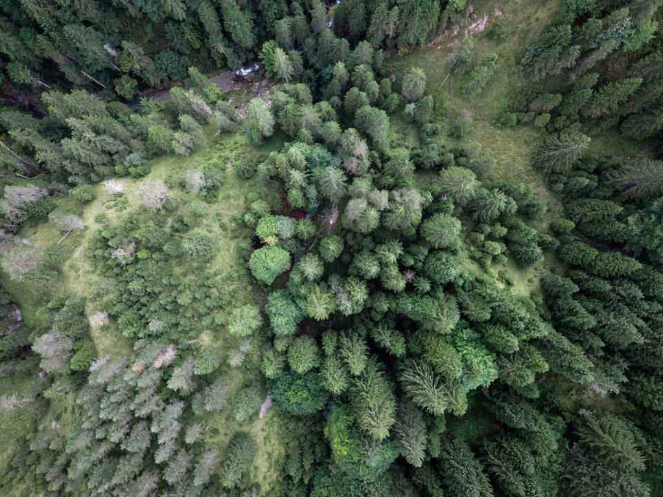 drone flying